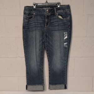 American Eagle Women's Artist Stretchy Denim Capri Size 14 Regular NWOT
